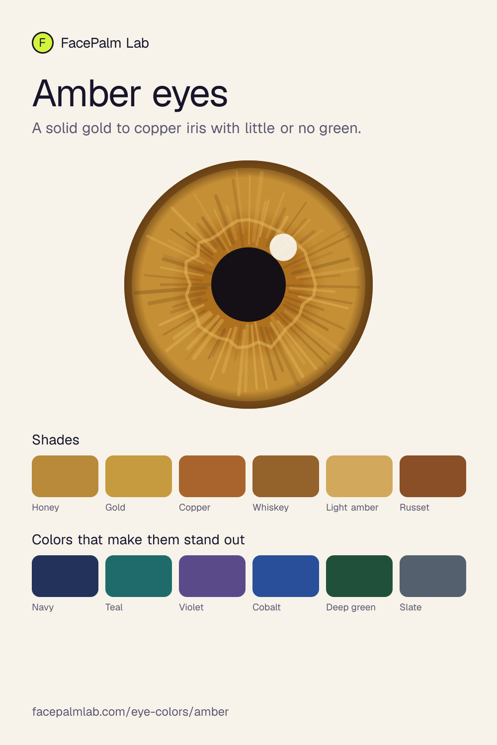 Amber eyes, an illustrated iris with six shades