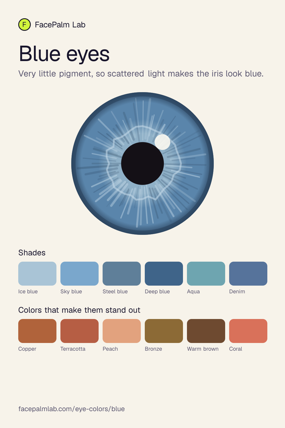Blue eyes, an illustrated iris with six shades