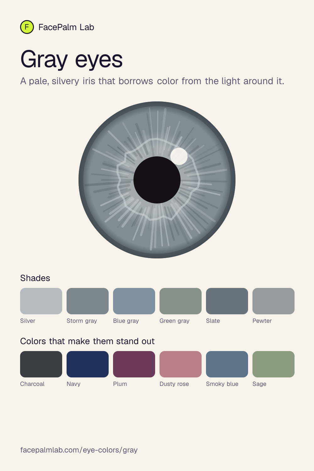 Gray eyes, an illustrated iris with six shades