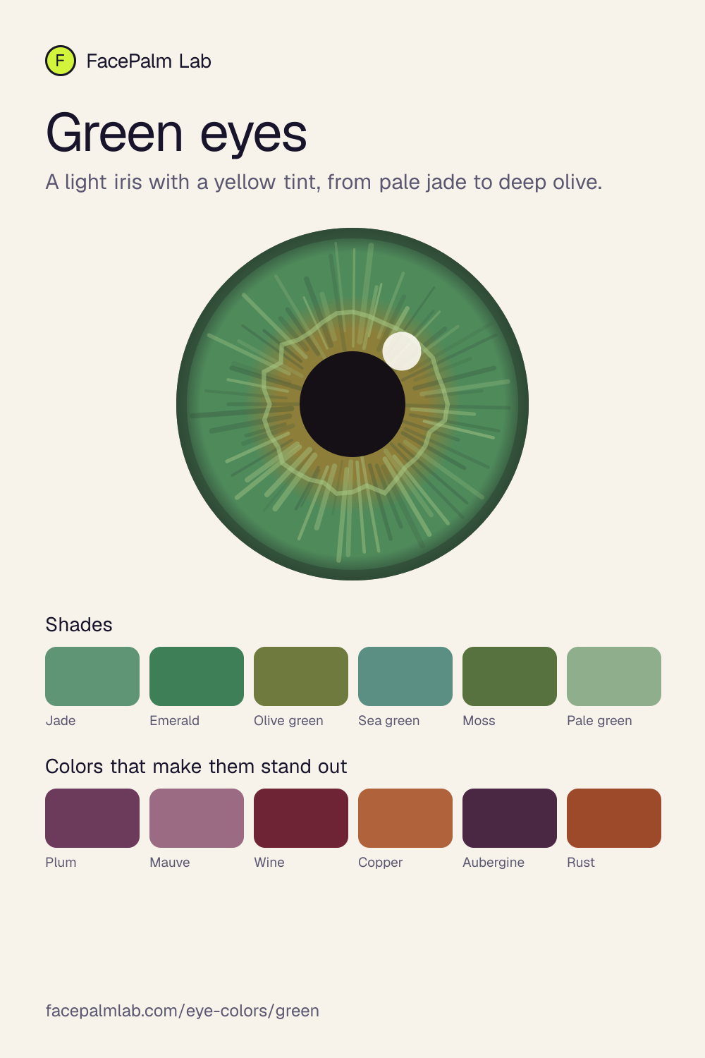 Green eyes, an illustrated iris with six shades