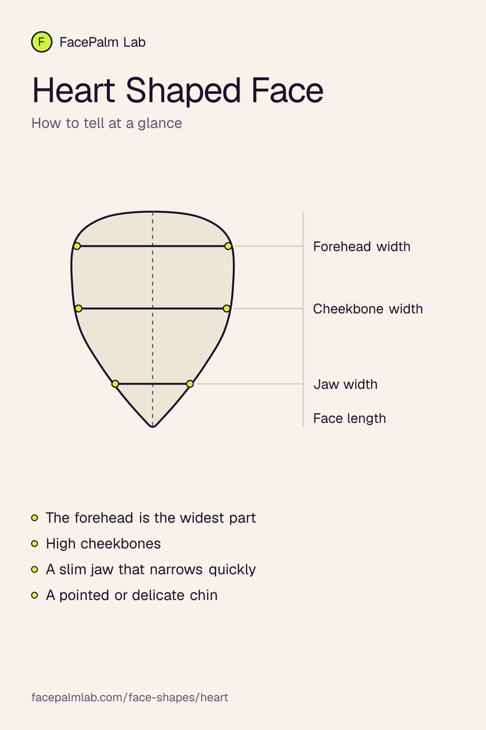 Heart Shaped Face, the outline and the widths that define it