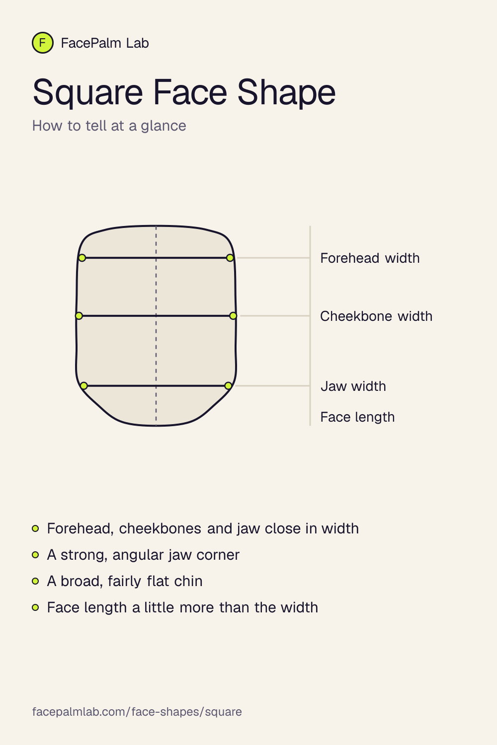 Square Face Shape, the outline and the widths that define it