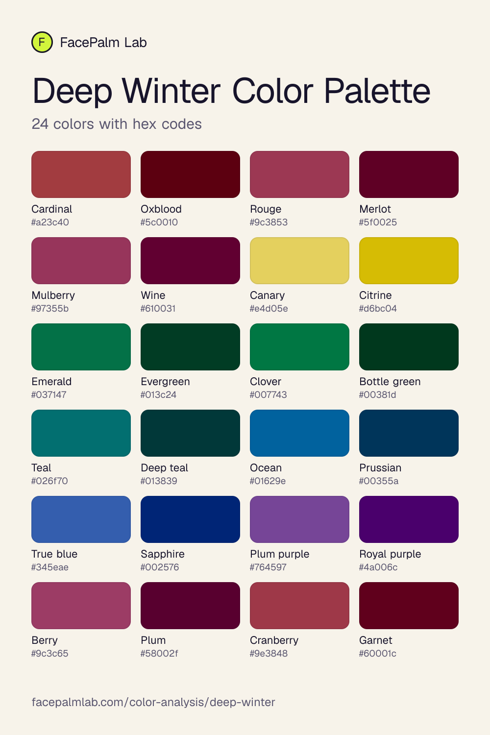 Deep Winter Color Palette with all 24 hex codes