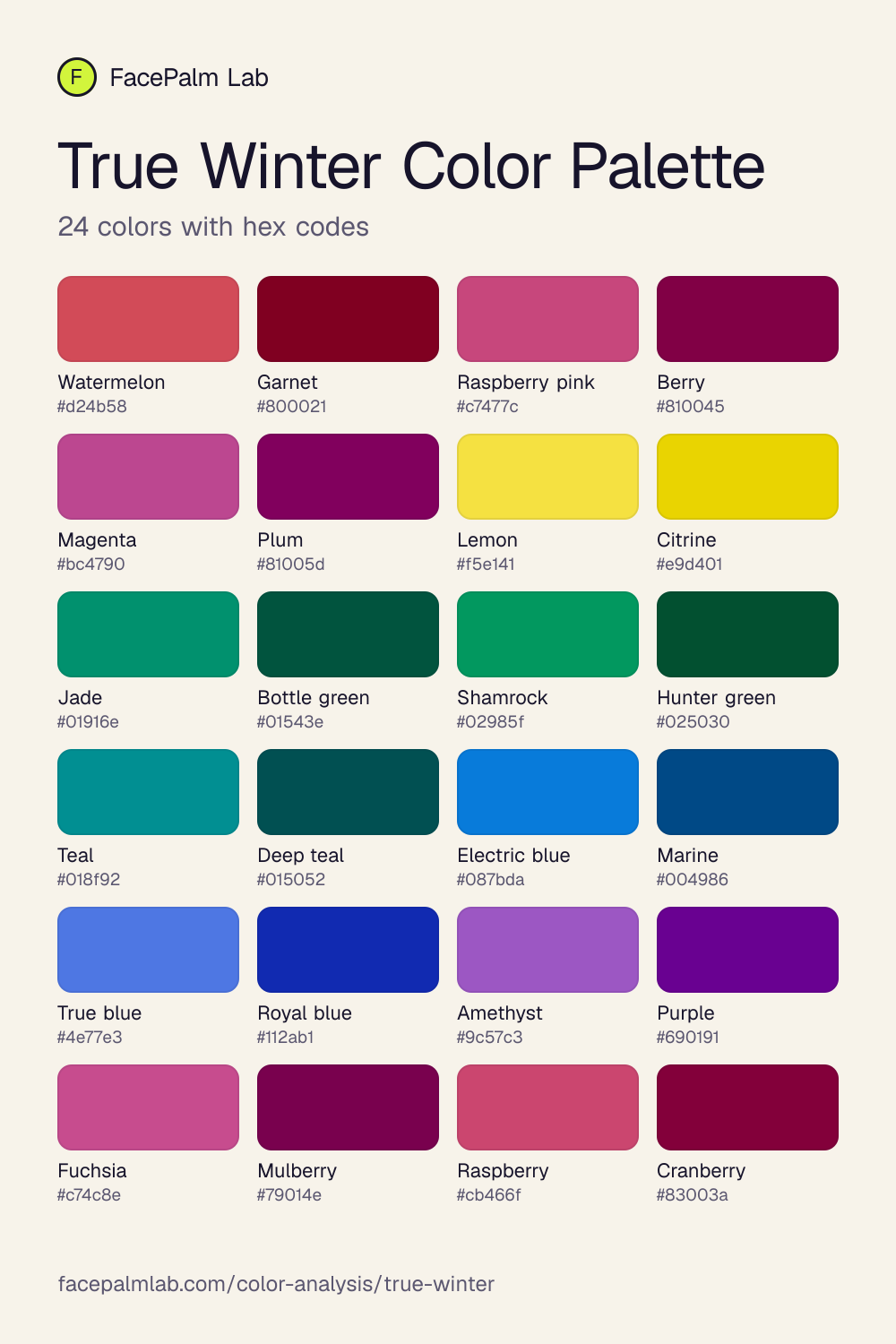 True Winter Color Palette with all 24 hex codes